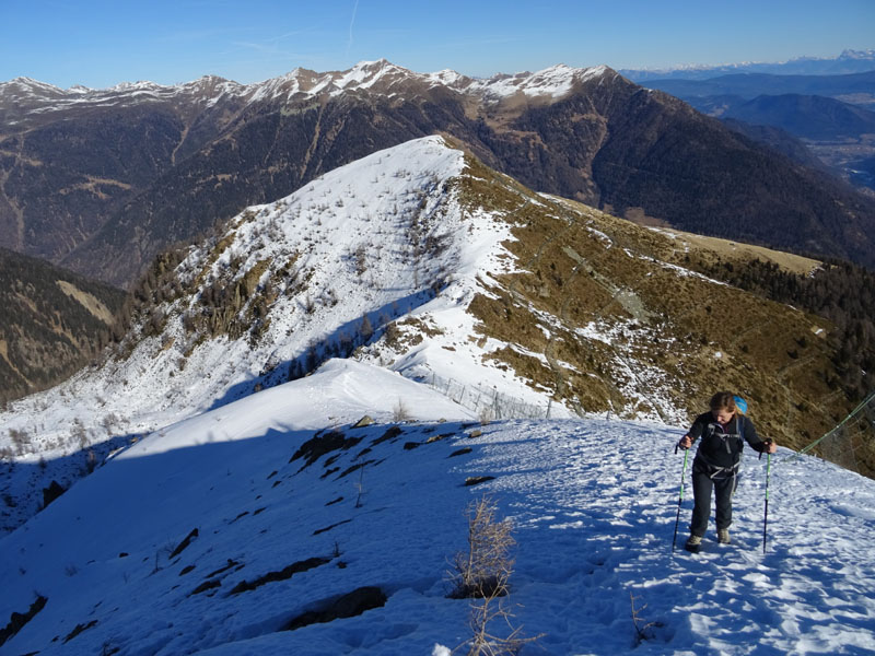 Cimon di Bolentina m. 2287 - Piz di Montes m. 2368